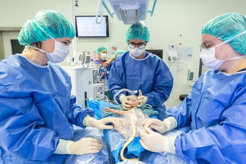 Rkh Sanfter Start ins Leben: Neuer Concord Birth Trolley erweitert ...